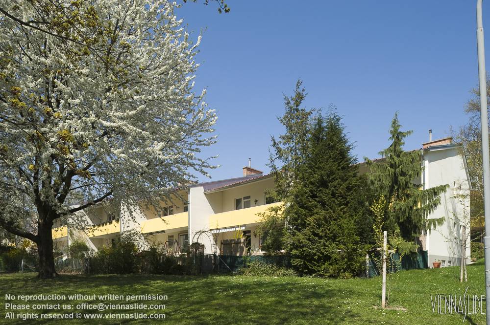 Viennaslide 00103175 jpg