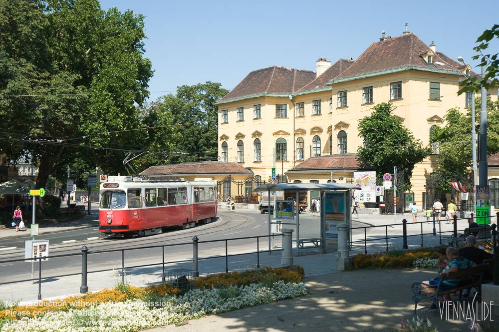 Viennaslide 00130113 jpg