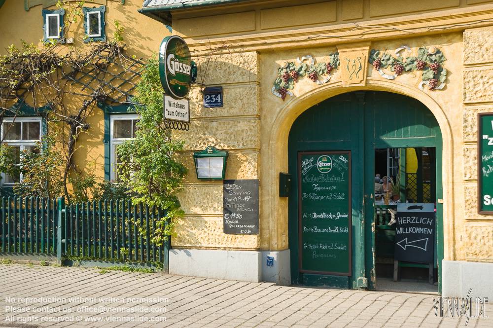 Viennaslide 00160139 jpg