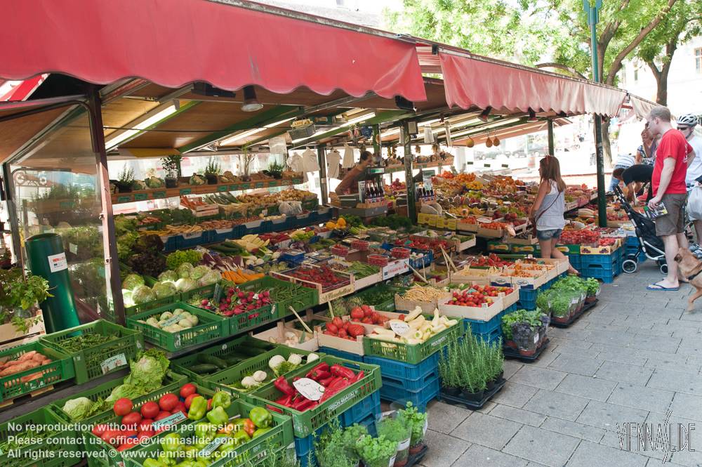 Viennaslide 00180144 jpg