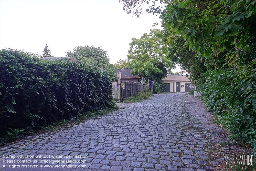 Viennaslide 00240168 jpg