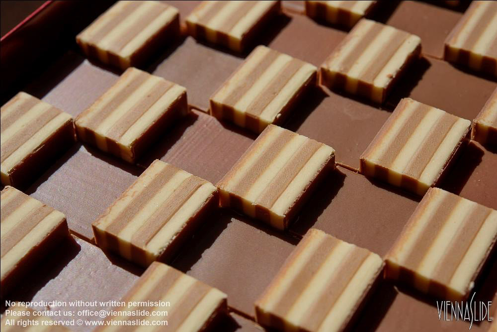 Viennaslide 00241261 jpg