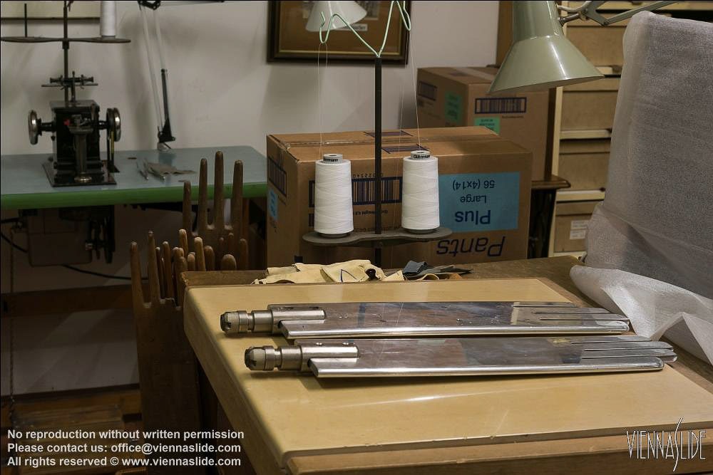 Viennaslide 00241540 jpg