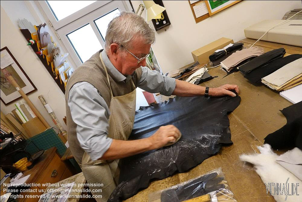 Viennaslide 00241576 jpg