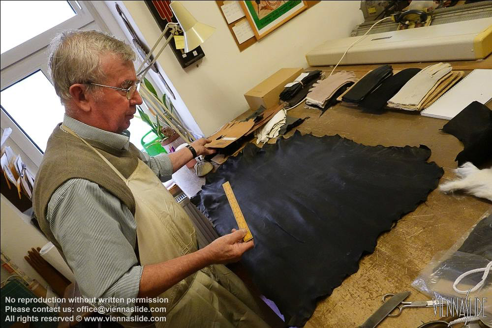 Viennaslide 00241578 jpg