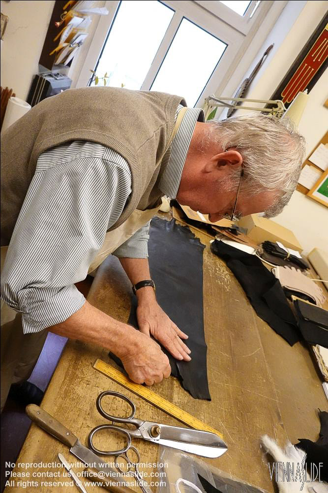 Viennaslide 00241582 jpg