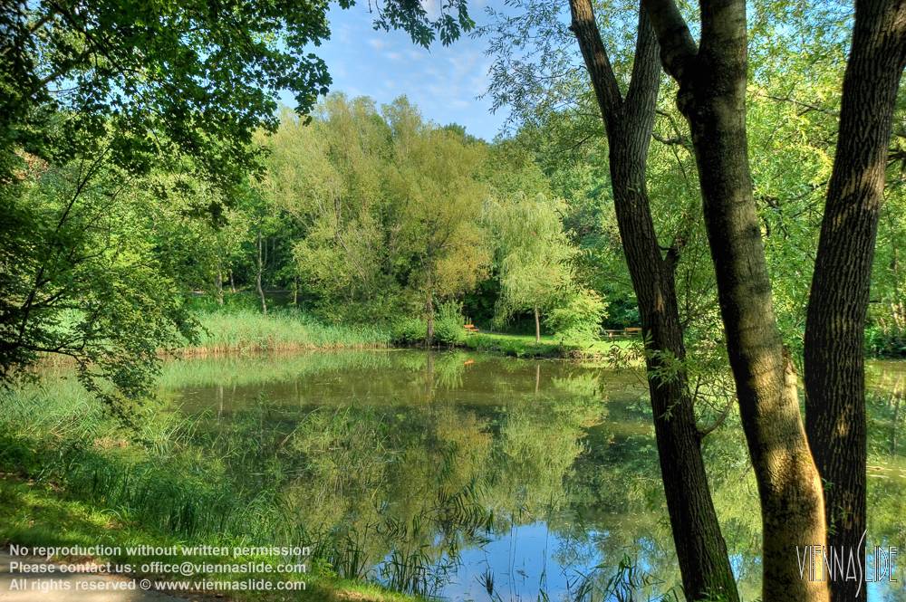 Viennaslide 00291602h jpg