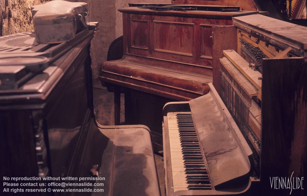 Viennaslide 00301213 jpg