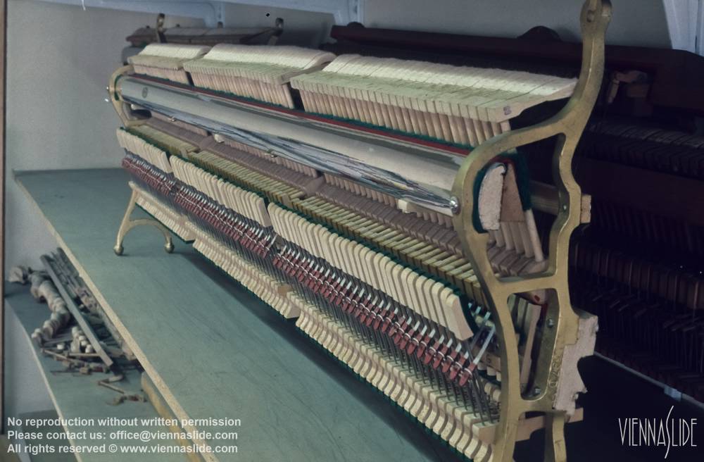 Viennaslide 00301227 jpg