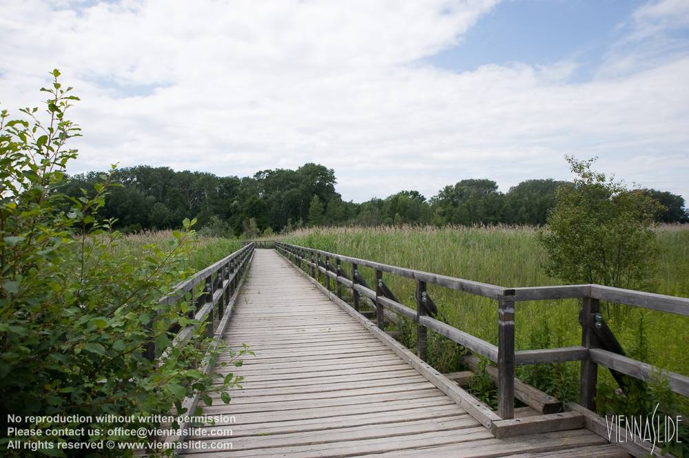 Viennaslide 00317187 jpg