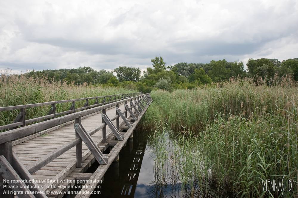 Viennaslide 00317188 jpg