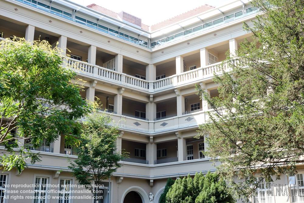 Viennaslide 00351511 jpg