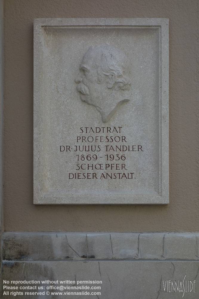 Viennaslide 00351519 jpg