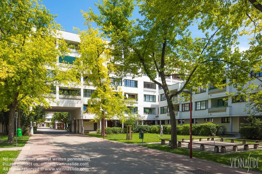 Viennaslide 00441341 jpg