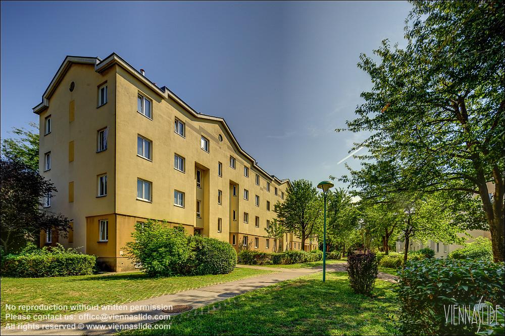 Viennaslide 00451142f jpg