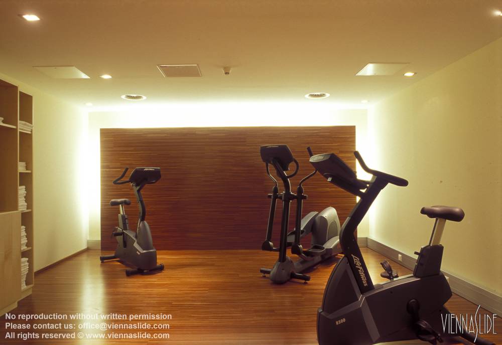 Viennaslide 00561704 jpg