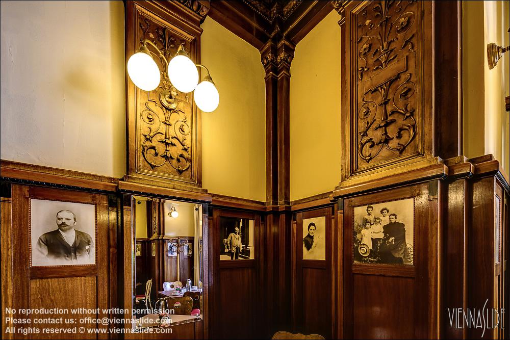 Viennaslide 00562716f jpg