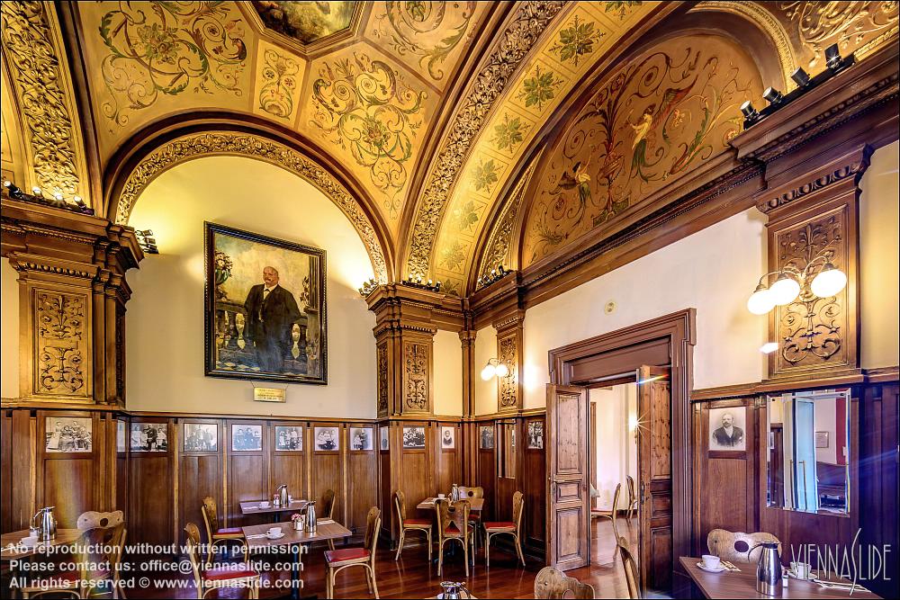 Viennaslide 00562717f jpg