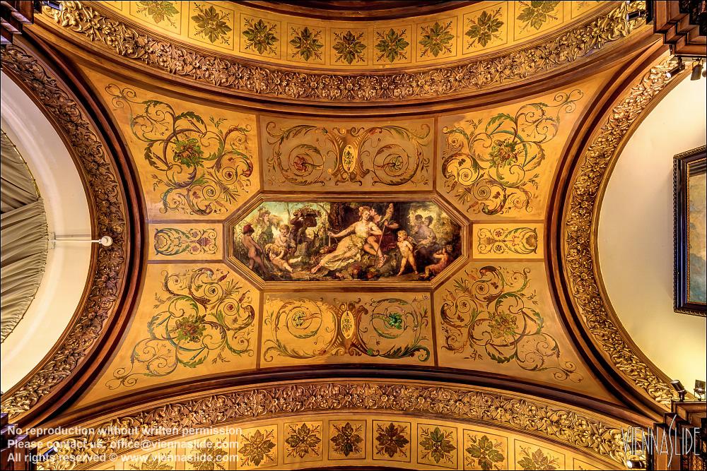 Viennaslide 00562719f jpg