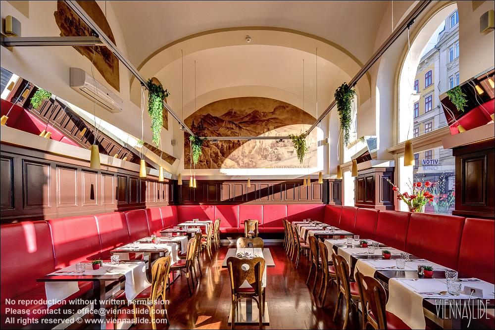 Viennaslide 00562721f jpg