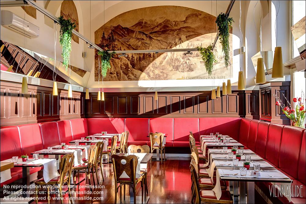 Viennaslide 00562722f jpg