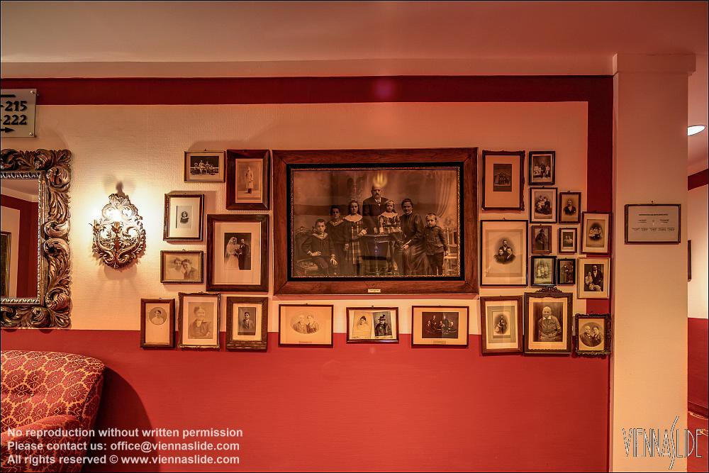 Viennaslide 00562724f jpg