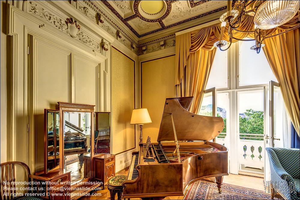 Viennaslide 00562730f jpg