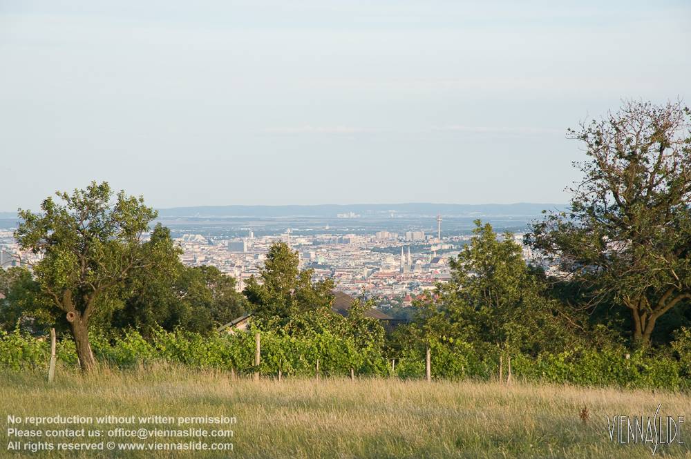 Viennaslide 00900154 jpg