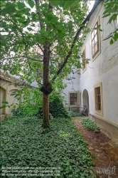 Viennaslide-00070221 Wien, Altbau Mondscheingasse 14 / Zollergasse 33