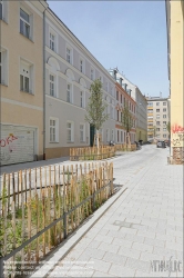 Viennaslide-00070255 Wien, Bernhardgasse, Begrünung // Vienna, Bernhardgasse, Greenery in the Street