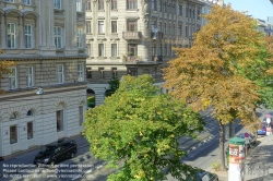 Viennaslide-00090213 Wien, gesunder und kranker Stadtbaum in der Althanstraße