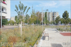 Viennaslide-00110162 Wien Simmering, 'Klimafitter' Platz // Vienna, Public Space, Greenery