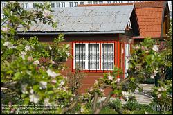 Viennaslide-00150163 Wien, Ottakring, Schrebergartensiedlung Zur Zukunft - Vienna, Allotment Garden