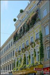 Viennaslide-00200115 Wien, Hannovergasse 5, Fassadenbegrünung // Vienna, Facade Greening