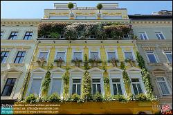 Viennaslide-00200116 Wien, Hannovergasse 5, Fassadenbegrünung // Vienna, Facade Greening