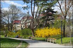 Viennaslide-00291116 Wien, 18. Bezirk, Türkenschanzpark