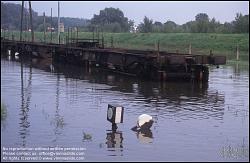 Viennaslide-00316104 Wien, Alberner Hafen, Donauüberschwemmung, 9.8.1985