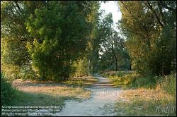 Viennaslide-00316237 Wien, Radweg an der Donau bei Klosterneuburg - Wien, Danube near Klosterneuburg