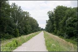 Viennaslide-00317194 Wien, Lobau, Donauauen - Vienna, Alluvial Forest at the Danube River