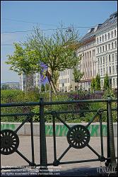 Viennaslide-00319206 Wien, begrünte Nevillebrücke // Vienna, Footbridge with Park