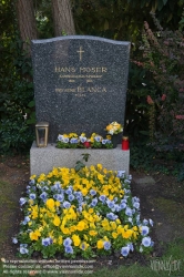 Viennaslide-00371139 Wien, Zentralfriedhof, Grab Hans Moser (Volksschauspieler, 1880-1964) - Vienna Zentralfriedhof Cemetery, Grave Hans Moser (Actor, 1880-1964)