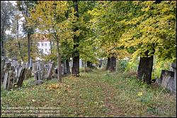 Viennaslide-00371303h Wien, Jüdischer Friedhof Währing - Vienna, Jewish Cemetery Waehring