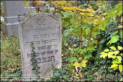 Viennaslide-00371304h Wien, Jüdischer Friedhof Währing - Vienna, Jewish Cemetery Waehring