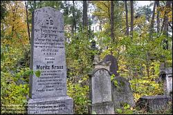 Viennaslide-00371305h Wien, Jüdischer Friedhof Währing - Vienna, Jewish Cemetery Waehring