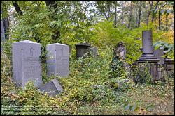 Viennaslide-00371309h Wien, Jüdischer Friedhof Währing - Vienna, Jewish Cemetery Waehring