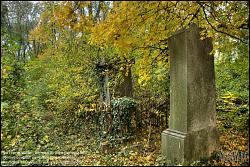 Viennaslide-00371317h Wien, Jüdischer Friedhof Währing - Vienna, Jewish Cemetery Waehring