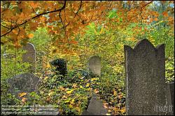 Viennaslide-00371319h Wien, Jüdischer Friedhof Währing - Vienna, Jewish Cemetery Waehring