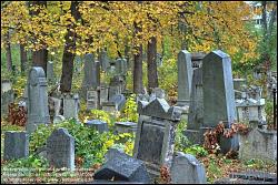 Viennaslide-00371329h Wien, Jüdischer Friedhof Währing - Vienna, Jewish Cemetery Waehring