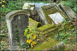 Viennaslide-00371336h Wien, Jüdischer Friedhof Währing - Vienna, Jewish Cemetery Waehring