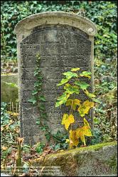 Viennaslide-00371337h Wien, Jüdischer Friedhof Währing - Vienna, Jewish Cemetery Waehring